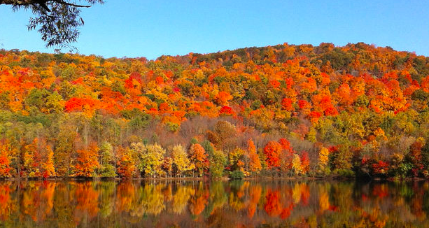 Screen Shot 2018-10-12 at 12.13.45 AM.png